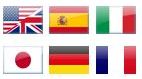 Brand Institute Surveys languages