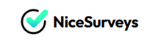 nicesurveys logo