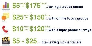 SurveyDen income examples