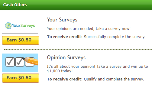 The offers section shows the same two survey providers