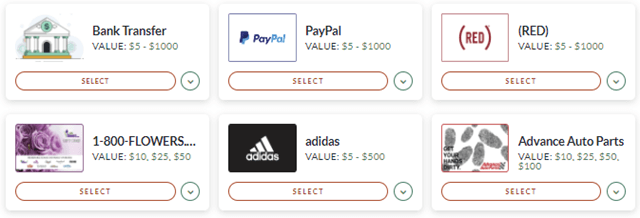 Branded Surveys payout options