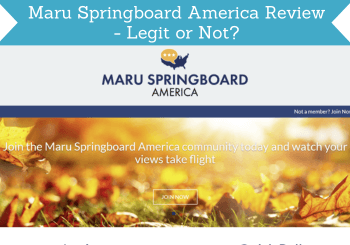 maru springboard america review header image