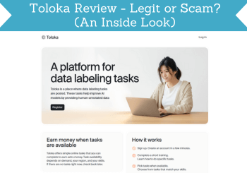 header for toloka review