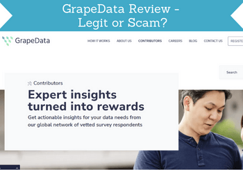 grapedata review header image