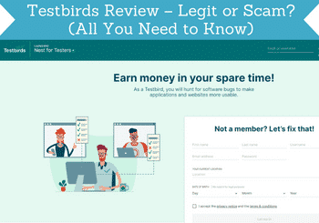 testbirds review header
