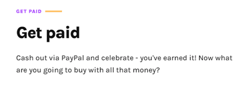 SurveyMagic payout options