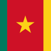 cameroon flag button