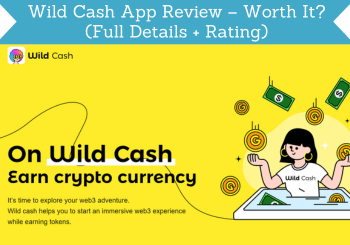 wild cash review header