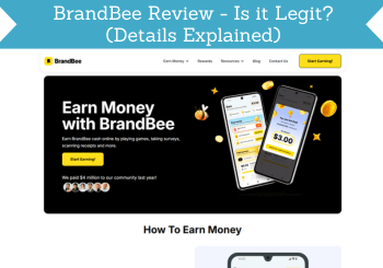 header for brandbee review