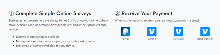 Surveys on the Earn Haus dashboard