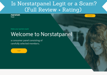 norstatpanel review header