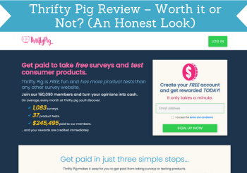 header for thrifty pig review