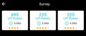 Paid surveys on Lit.It